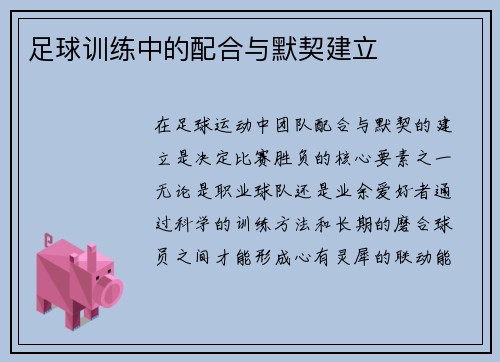 足球训练中的配合与默契建立